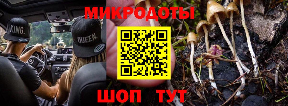 Галлюциногенные грибы мицелий  купить   Балашиха  Вход с VPN 